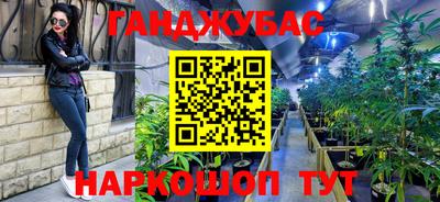 прущий лед Кингисепп
