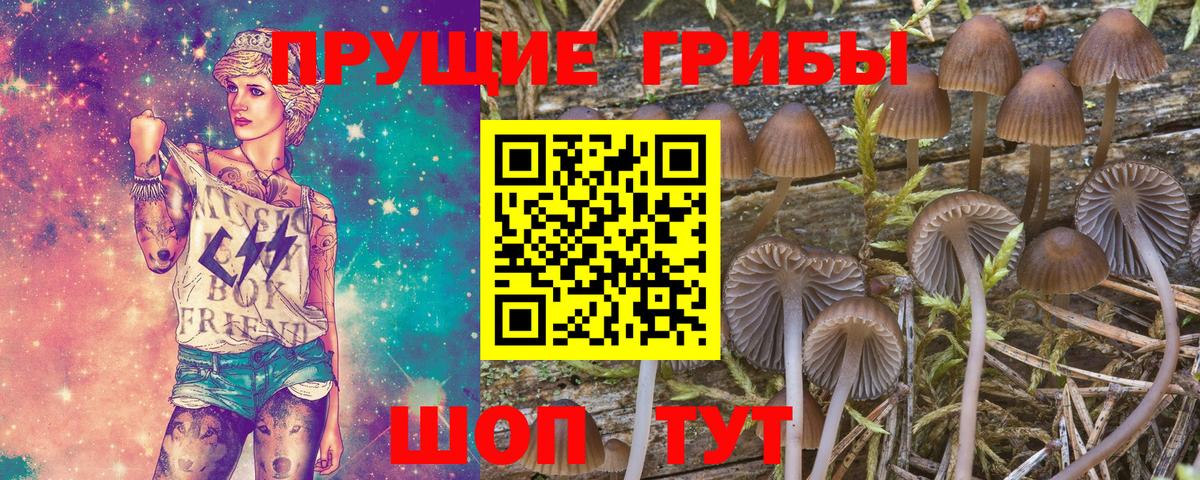 Псилоцибиновые грибы MAGIC MUSHROOMS  Вход с VPN  Королёв 